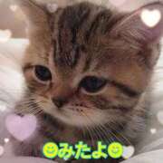 ヒメ日記 2025/02/11 20:31 投稿 優木こころ コウテイ