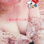 ヒメ日記 2025/02/13 18:02 投稿 優木こころ コウテイ