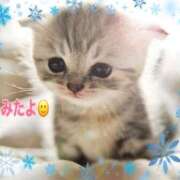 ヒメ日記 2025/02/20 11:05 投稿 優木こころ コウテイ