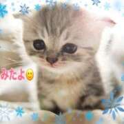 ヒメ日記 2025/02/20 11:00 投稿 優木こころ コウテイ