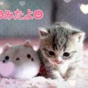 ヒメ日記 2025/02/23 10:03 投稿 優木こころ コウテイ