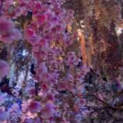 ヒメ日記 2025/03/20 23:15 投稿 優木こころ コウテイ