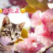 ヒメ日記 2025/03/30 12:06 投稿 優木こころ コウテイ