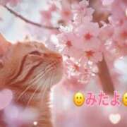 ヒメ日記 2025/03/31 16:35 投稿 優木こころ コウテイ