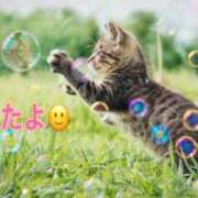 ヒメ日記 2025/04/01 12:50 投稿 優木こころ コウテイ