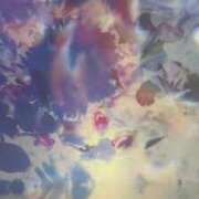 ヒメ日記 2025/04/04 17:06 投稿 優木こころ コウテイ