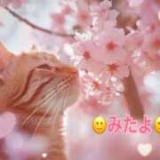 ヒメ日記 2025/04/11 12:45 投稿 優木こころ コウテイ