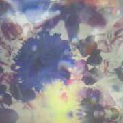 ヒメ日記 2025/06/05 14:12 投稿 優木こころ コウテイ