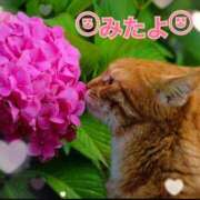 ヒメ日記 2025/06/08 11:05 投稿 優木こころ コウテイ