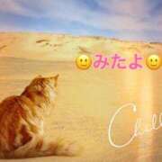 ヒメ日記 2025/06/16 11:00 投稿 優木こころ コウテイ