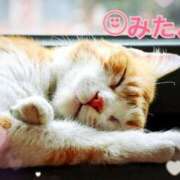 ヒメ日記 2025/06/20 11:07 投稿 優木こころ コウテイ