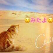 ヒメ日記 2025/06/28 11:05 投稿 優木こころ コウテイ