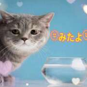 ヒメ日記 2025/07/06 16:30 投稿 優木こころ コウテイ