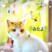 ヒメ日記 2025/07/07 11:01 投稿 優木こころ コウテイ