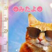 ヒメ日記 2025/07/10 11:16 投稿 優木こころ コウテイ