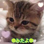 ヒメ日記 2025/07/12 11:17 投稿 優木こころ コウテイ