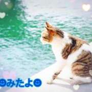 ヒメ日記 2025/07/13 11:15 投稿 優木こころ コウテイ