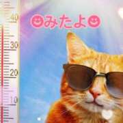 ヒメ日記 2025/07/16 14:30 投稿 優木こころ コウテイ