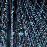 ヒメ日記 2025/08/08 13:15 投稿 優木こころ コウテイ