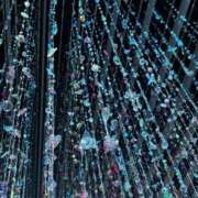 ヒメ日記 2025/08/08 13:01 投稿 優木こころ コウテイ