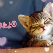 ヒメ日記 2025/08/21 21:31 投稿 優木こころ コウテイ