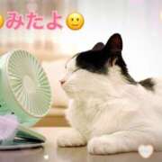 ヒメ日記 2025/08/28 22:01 投稿 優木こころ コウテイ