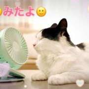 ヒメ日記 2025/08/28 22:15 投稿 優木こころ コウテイ