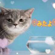 ヒメ日記 2025/08/30 13:15 投稿 優木こころ コウテイ