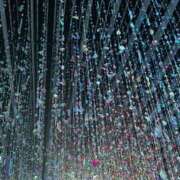 ヒメ日記 2025/08/30 17:01 投稿 優木こころ コウテイ