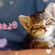 ヒメ日記 2025/09/06 11:16 投稿 優木こころ コウテイ