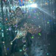 ヒメ日記 2025/09/07 11:00 投稿 優木こころ コウテイ