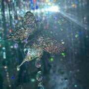 ヒメ日記 2025/09/07 11:15 投稿 優木こころ コウテイ