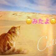 ヒメ日記 2025/09/09 12:47 投稿 優木こころ コウテイ