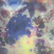 ヒメ日記 2025/09/12 11:45 投稿 優木こころ コウテイ