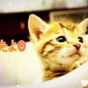 ヒメ日記 2025/09/13 10:01 投稿 優木こころ コウテイ