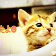 ヒメ日記 2025/09/13 10:16 投稿 優木こころ コウテイ