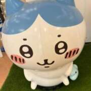 ヒメ日記 2025/09/14 11:05 投稿 優木こころ コウテイ