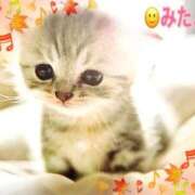 ヒメ日記 2025/09/20 10:17 投稿 優木こころ コウテイ