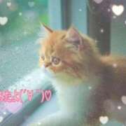 ヒメ日記 2025/09/23 21:16 投稿 優木こころ コウテイ