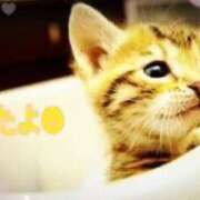 ヒメ日記 2025/09/29 19:30 投稿 優木こころ コウテイ