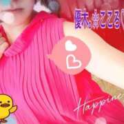 ヒメ日記 2025/10/11 08:19 投稿 優木こころ コウテイ