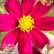 ヒメ日記 2025/10/13 13:45 投稿 優木こころ コウテイ