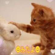 ヒメ日記 2025/10/15 15:30 投稿 優木こころ コウテイ