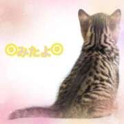 ヒメ日記 2025/10/20 11:30 投稿 優木こころ コウテイ