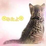 ヒメ日記 2025/10/20 11:45 投稿 優木こころ コウテイ