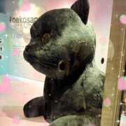 ヒメ日記 2025/10/23 22:45 投稿 優木こころ コウテイ