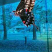 ヒメ日記 2025/10/26 14:18 投稿 優木こころ コウテイ