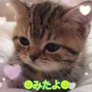 ヒメ日記 2025/11/13 22:35 投稿 優木こころ コウテイ