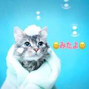 ヒメ日記 2025/11/16 11:05 投稿 優木こころ コウテイ