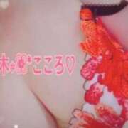 ヒメ日記 2025/11/16 15:00 投稿 優木こころ コウテイ